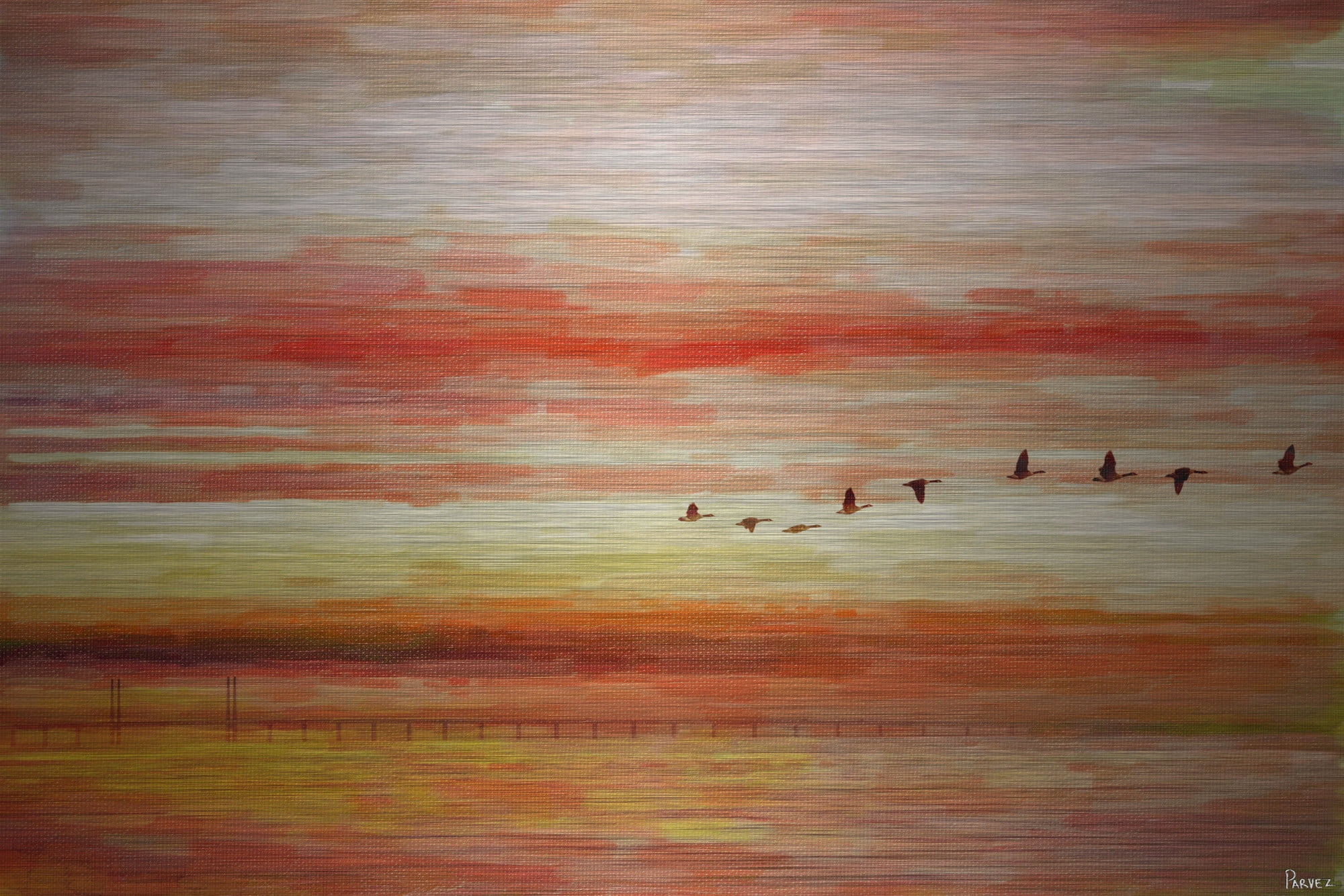 Parvez Taj Flying South Art Print on Brushed Aluminum
