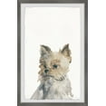 thumbnail image 1 of Parvez Taj Furry Little Friend Framed Wall Art, 1 of 6