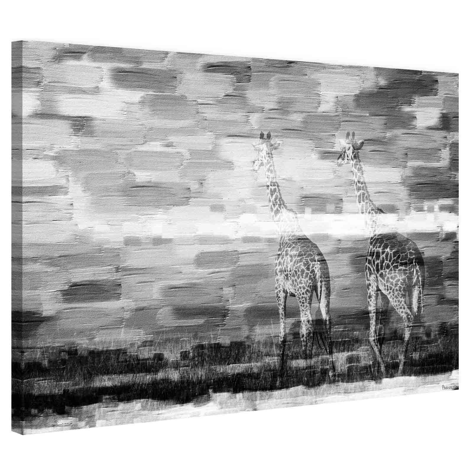 Parvez Taj "Giraffes" Print on Canvas