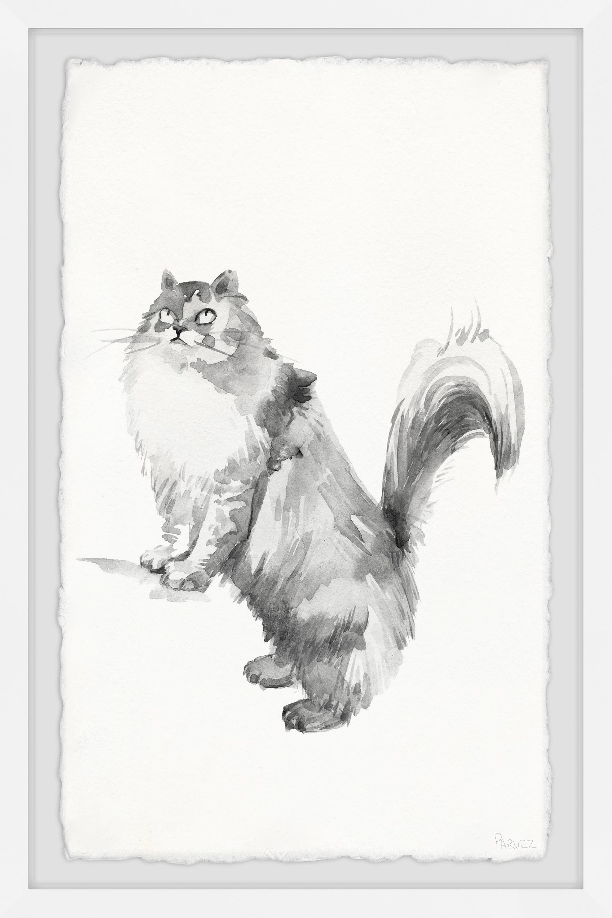 Parvez Taj Gray Maine Coon Framed Wall Art