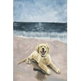 thumbnail image 1 of Parvez Taj Happy Retriever Canvas Wall Art, 1 of 9