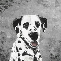 Parvez Taj Heart Eyes Canvas Wall Art