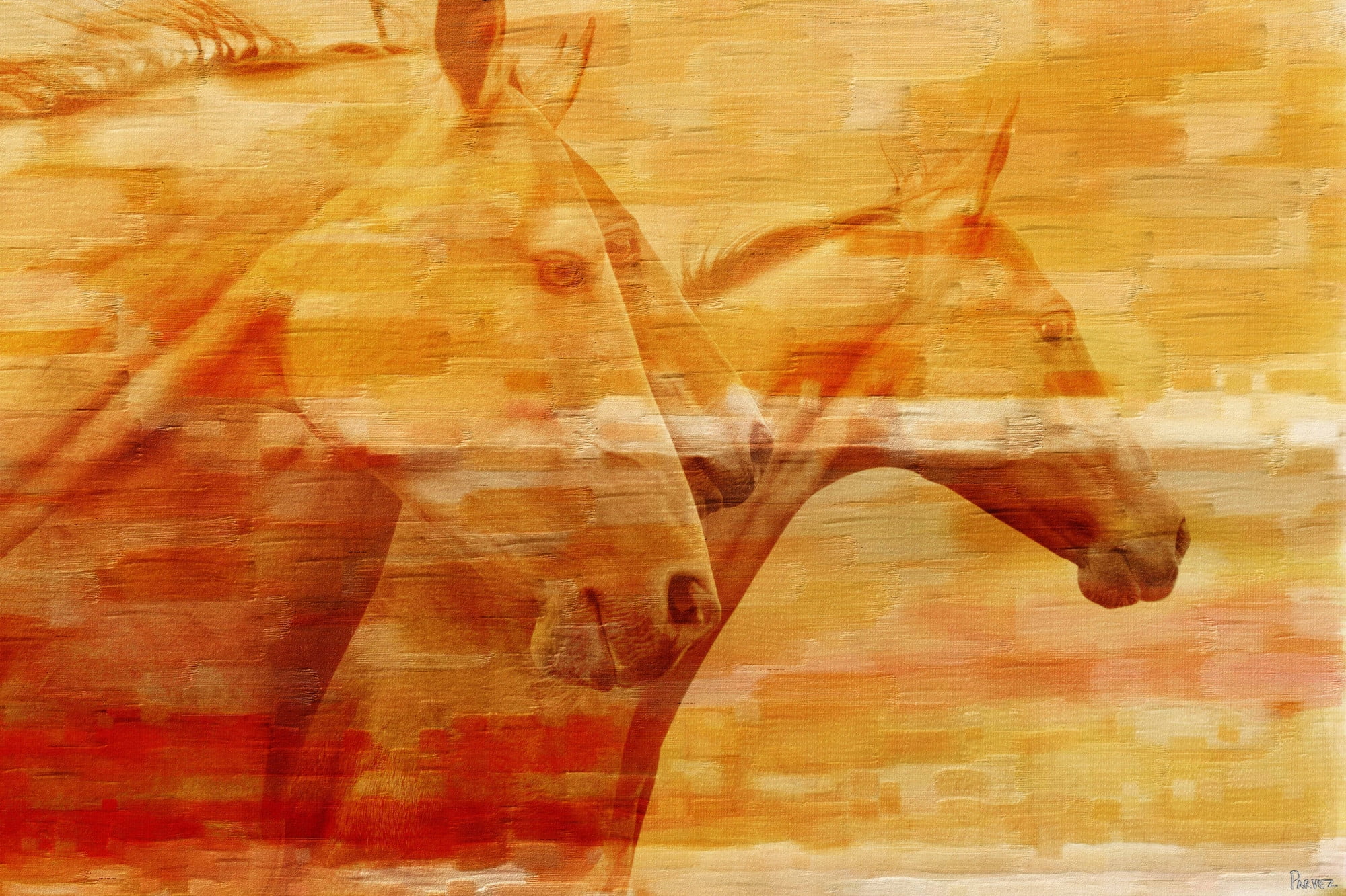 Parvez Taj "Horsey" Print on Canvas