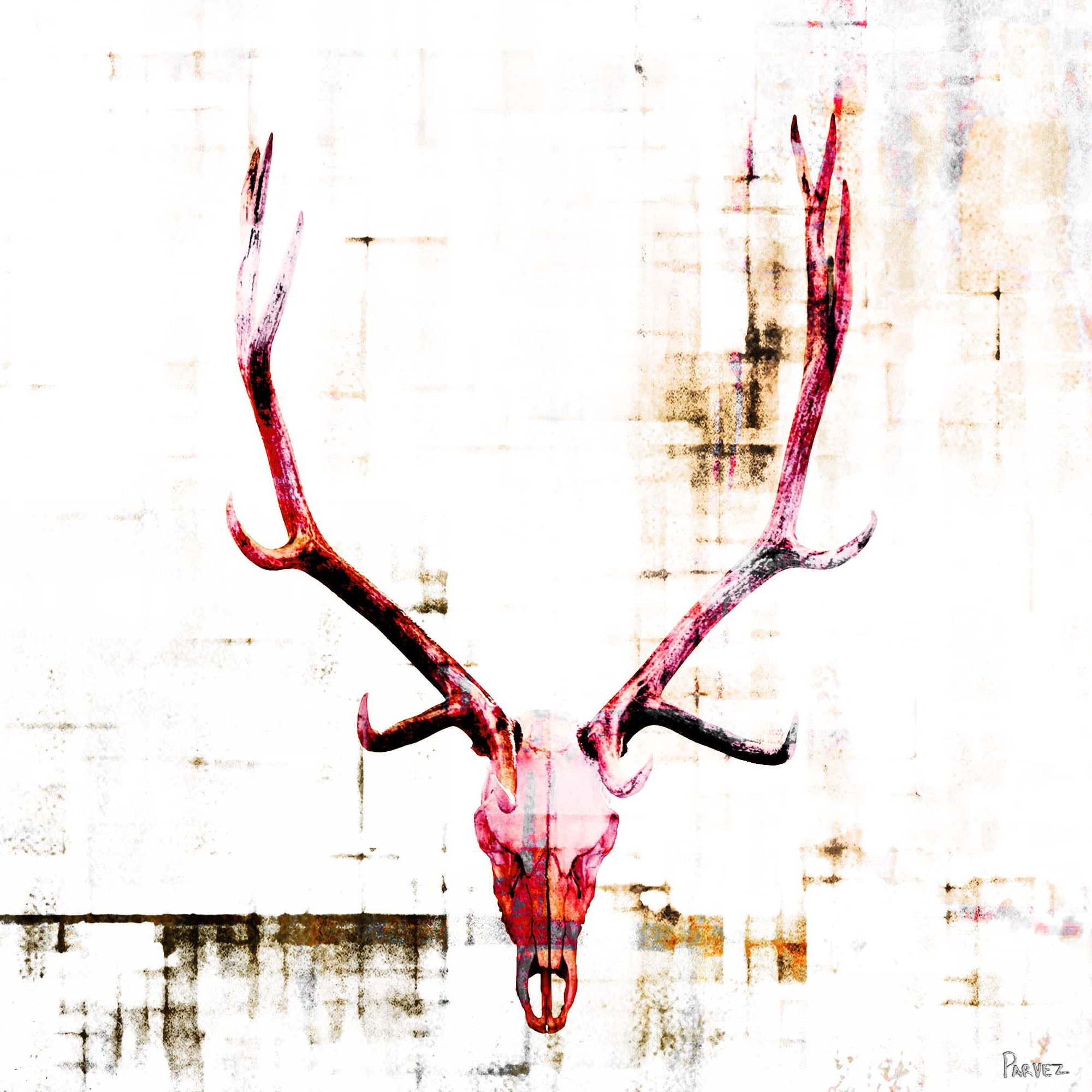 Parvez Taj Hot Temper Art Print on Premium Canvas