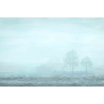 Parvez Taj Hues of Blue 18-Inch x 12-Inch Canvas Wall Art