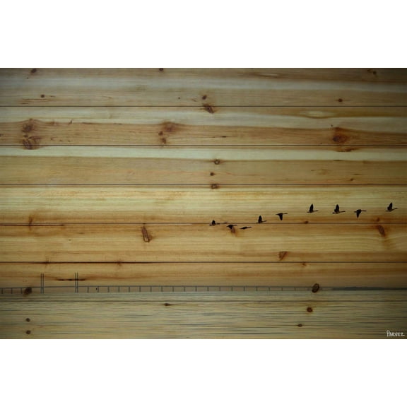 Parvez Taj In Formation Pinewood Wall Art, 8" x 12"