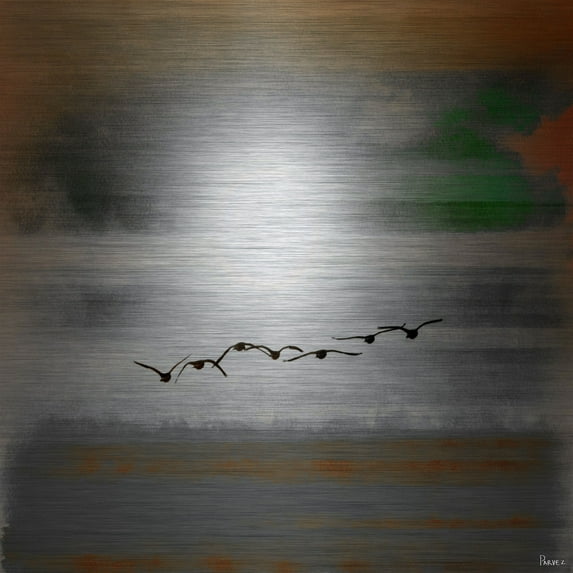 Parvez Taj Into the Sun Metal Wall Art