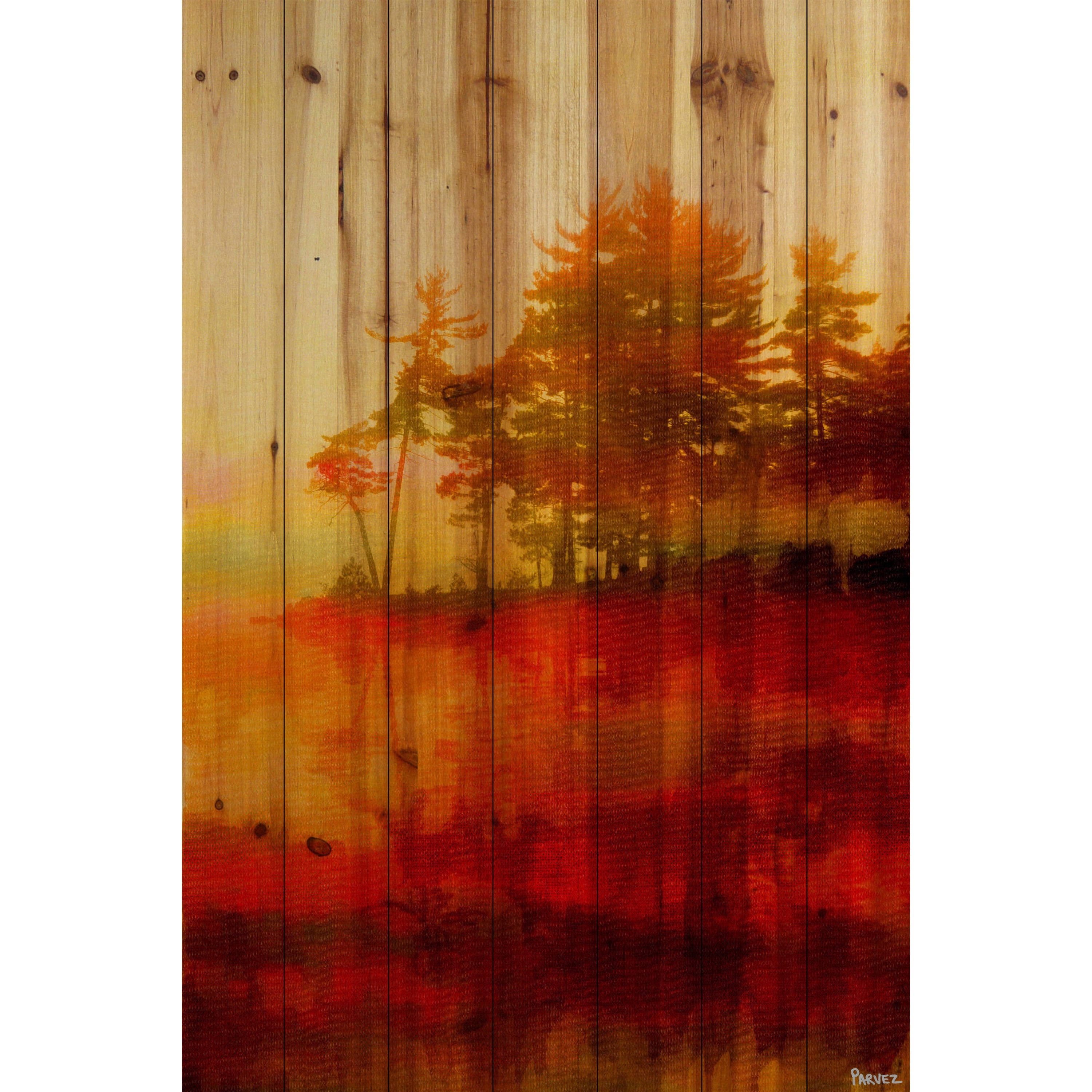 Parvez Taj  'Kenora' Painting Print on Natural Pine Wood - Multi-color 24 x 36