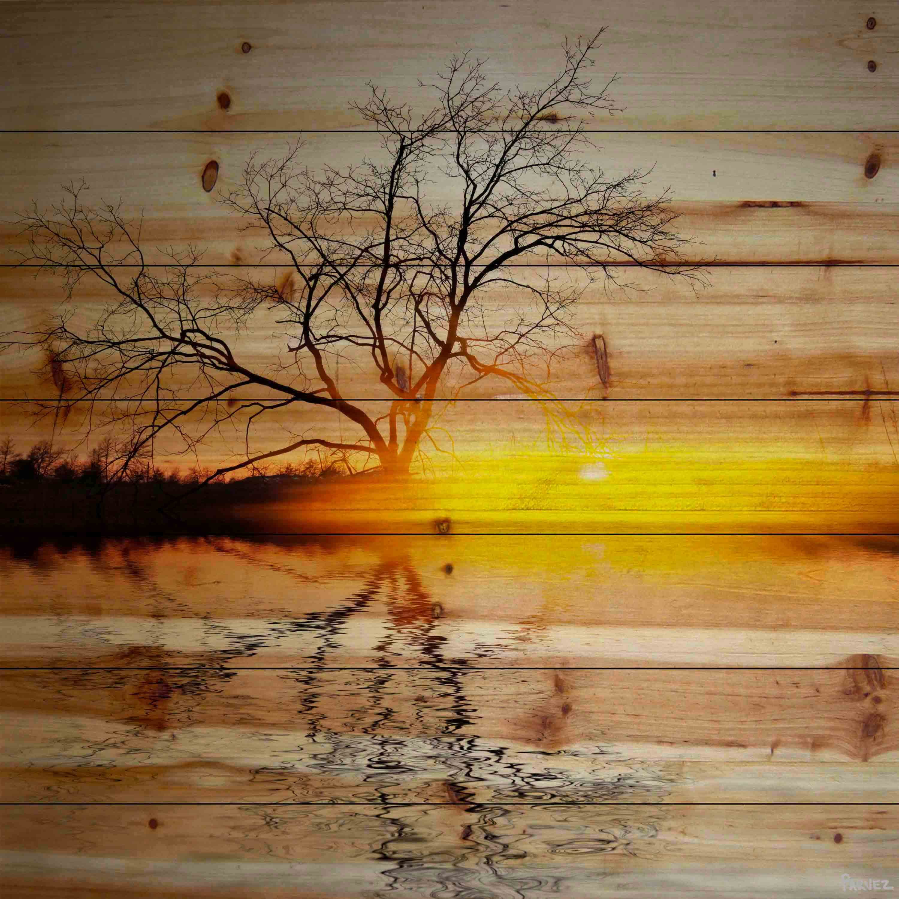 Parvez Taj Killaloe Pinewood Wall Art, 48" x 48"