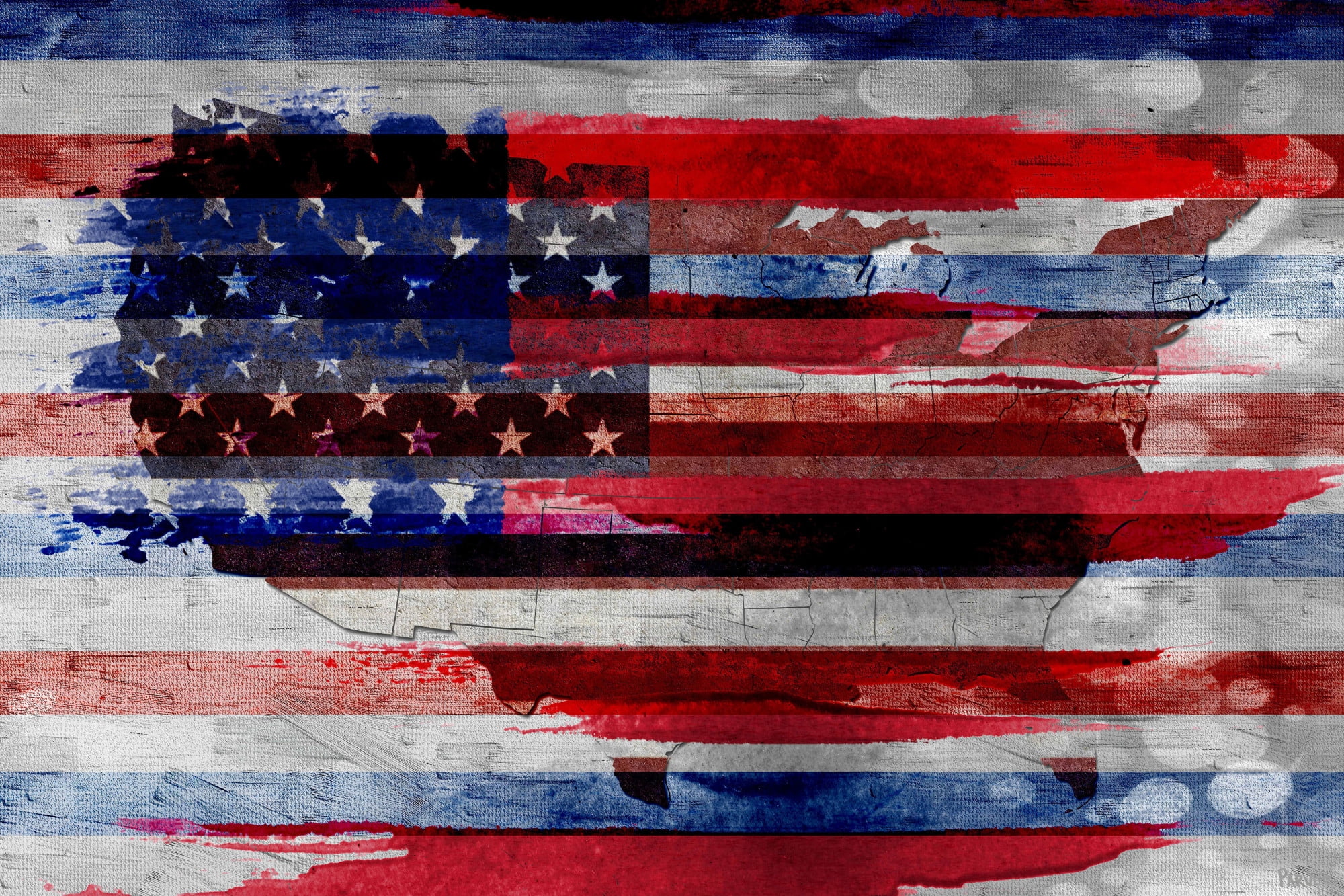 Parvez Taj "Land of the Free" Print on Canvas