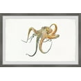thumbnail image 1 of Parvez Taj Lazy Octop Framed Wall Art, 1 of 6