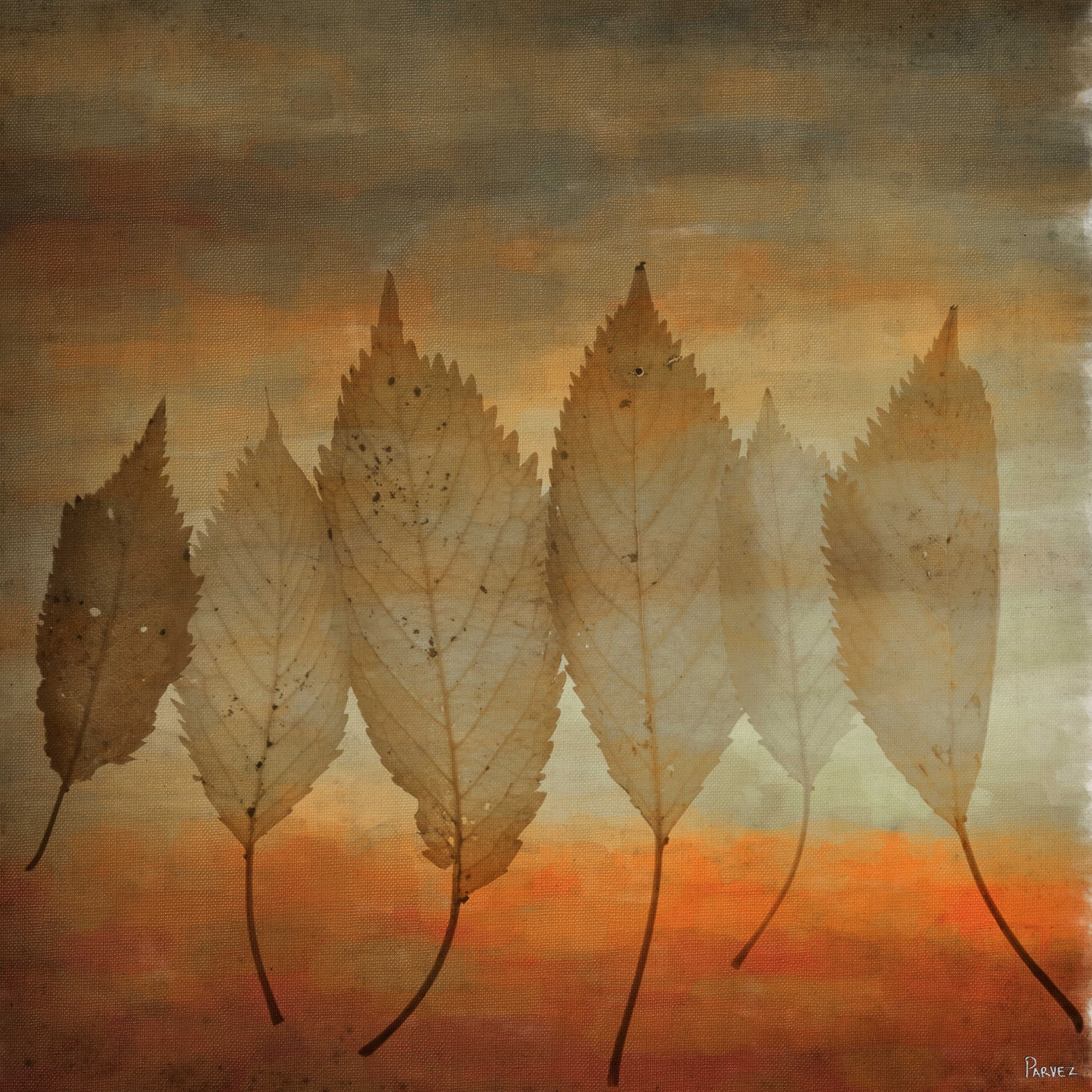 Parvez Michel Inc Leafs - Multi-color