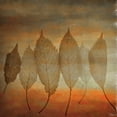 thumbnail image 1 of Parvez Michel Inc Leafs - Multi-color, 1 of 7