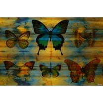 Parvez Taj Lepidoptera Pinewood Wall Art