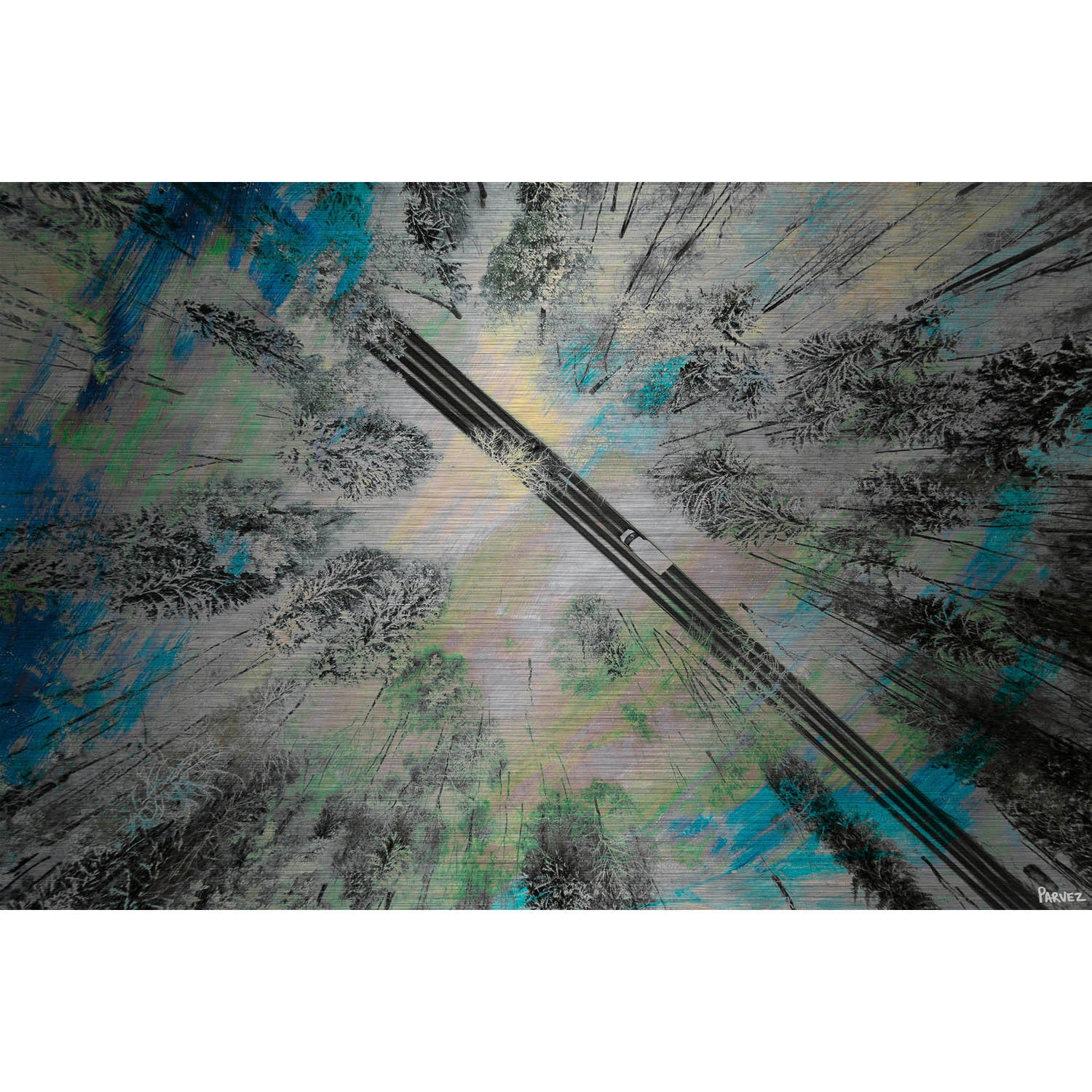 Parvez Taj "Ligthed Forest" Painting Print on Brushed Aluminum
