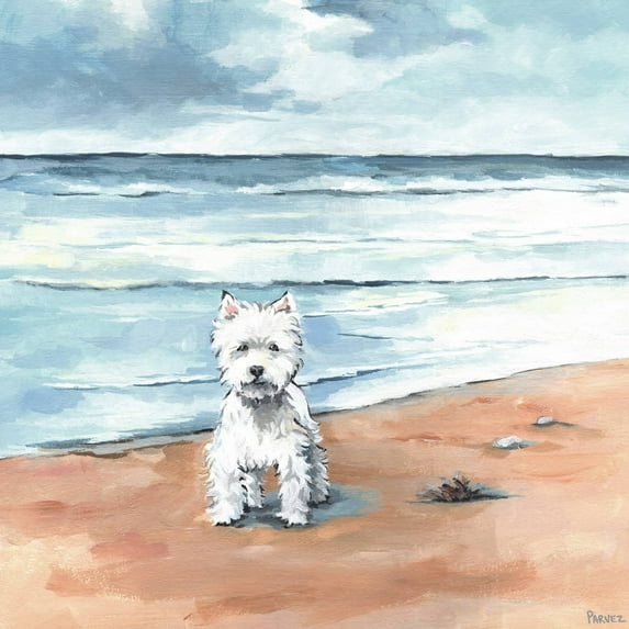 Parvez Taj Little White Doggie Canvas Wall Art