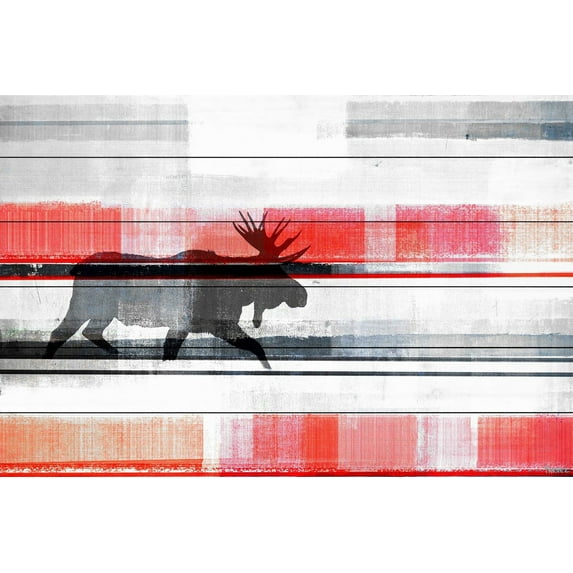 Parvez Taj Lone Moose White Wood Wall Art, 16" x 24"