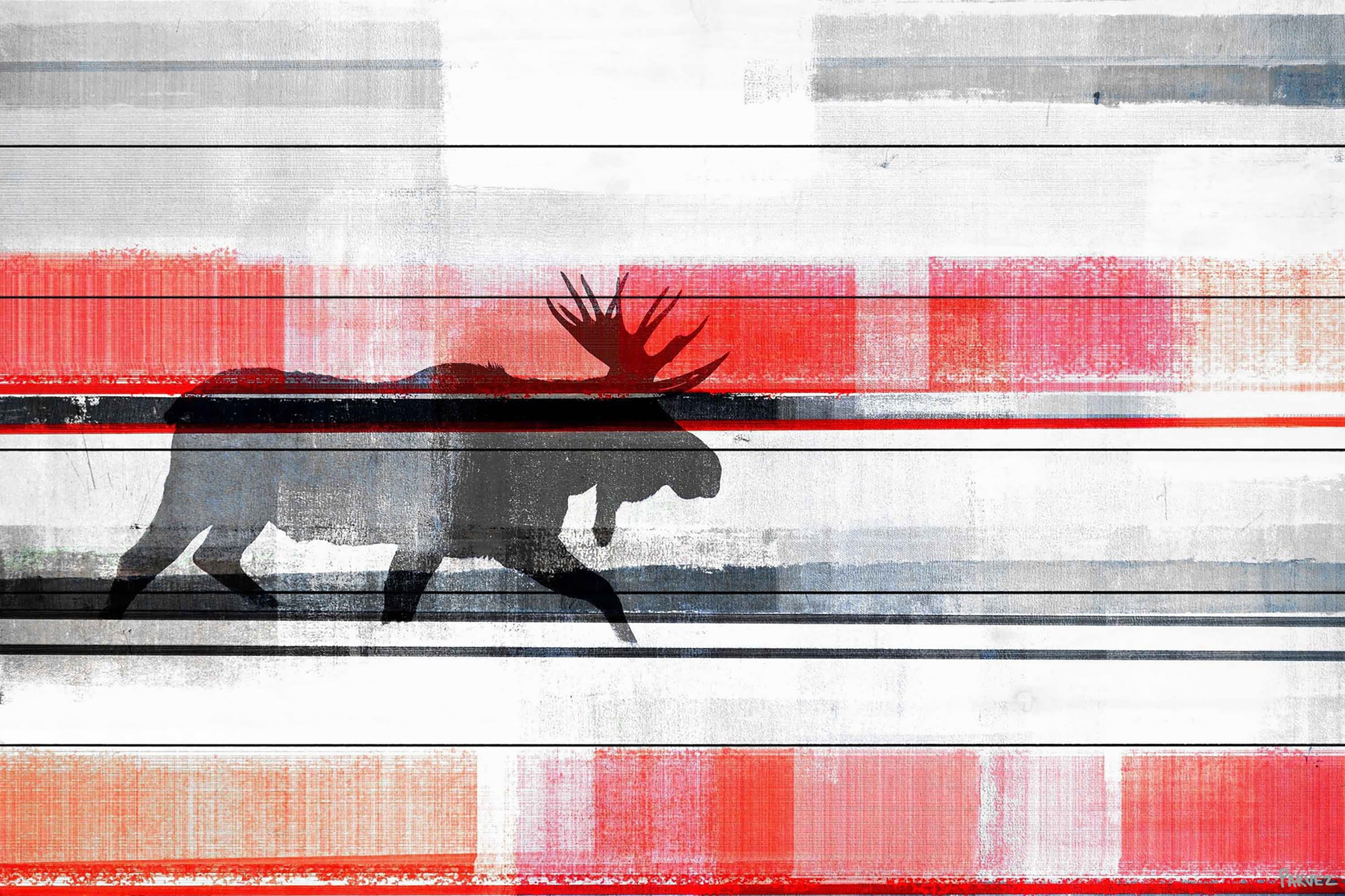 Parvez Taj Lone Moose White Wood Wall Art, 20" x 30"