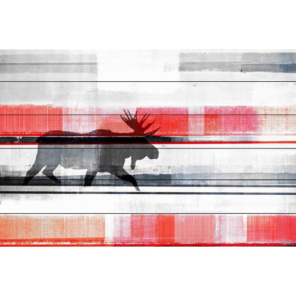 Parvez Taj Lone Moose White Wood Wall Art, 24" x 36"