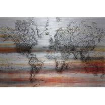 Parvez Taj Maailma Art Print on Brushed Aluminum