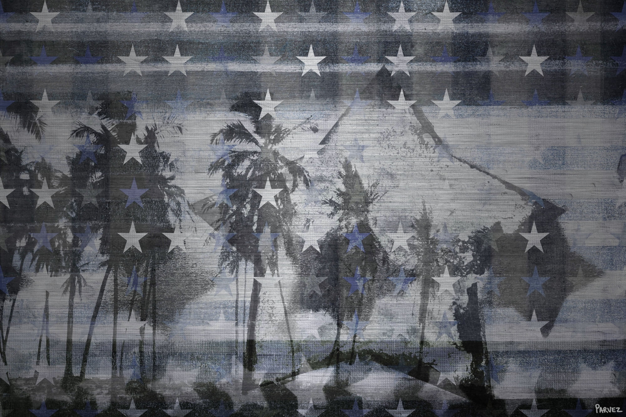 Parvez Taj "Many White Stars" Print on Brushed Aluminum