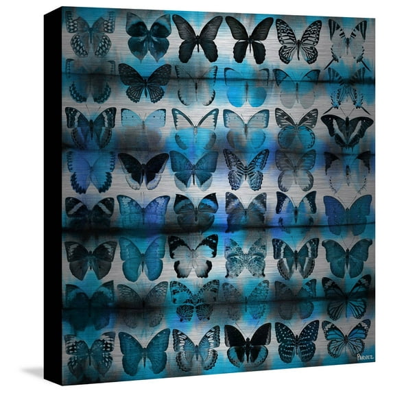 Parvez Taj Moth Blue Metal Wall Art