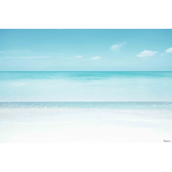 Parvez Taj "Muted Layers" Print on Canvas