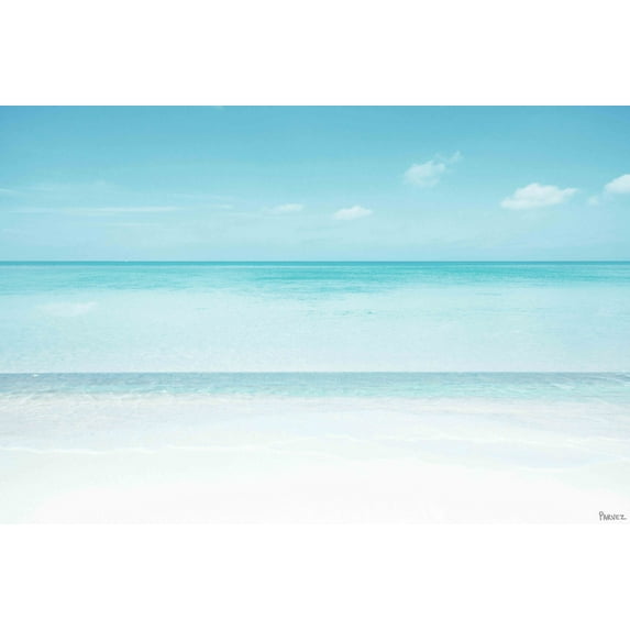 Parvez Taj "Muted Layers" Print on Canvas