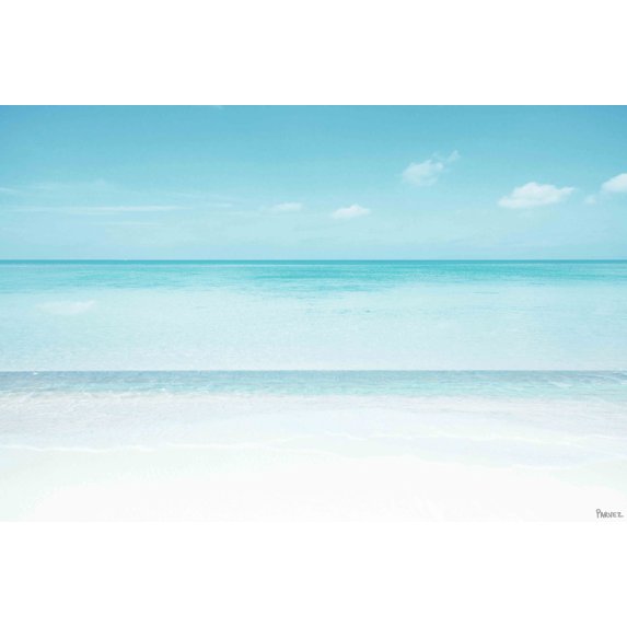 Parvez Taj "Muted Layers" Print on Canvas