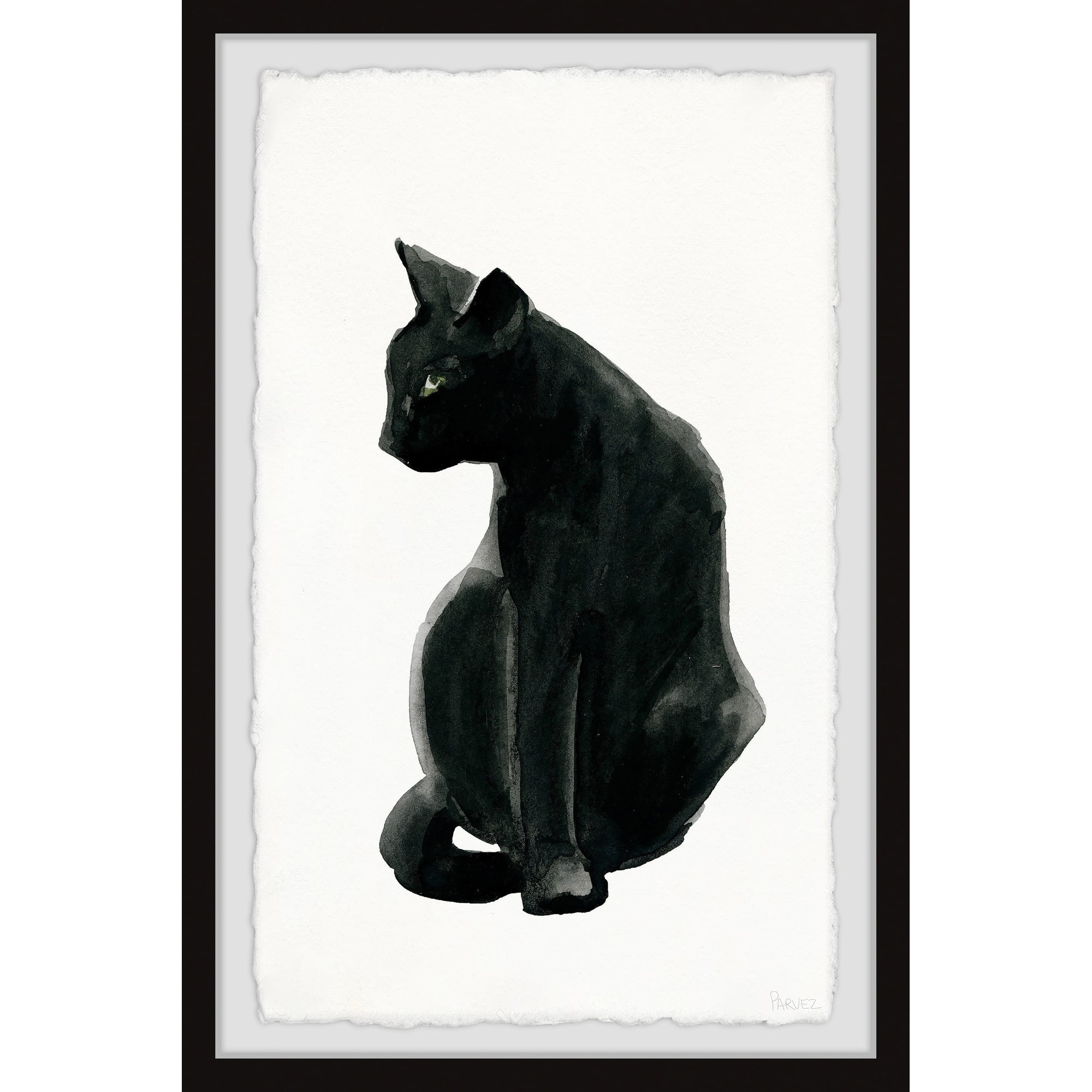 Parvez-Taj-Mysterious-Black-