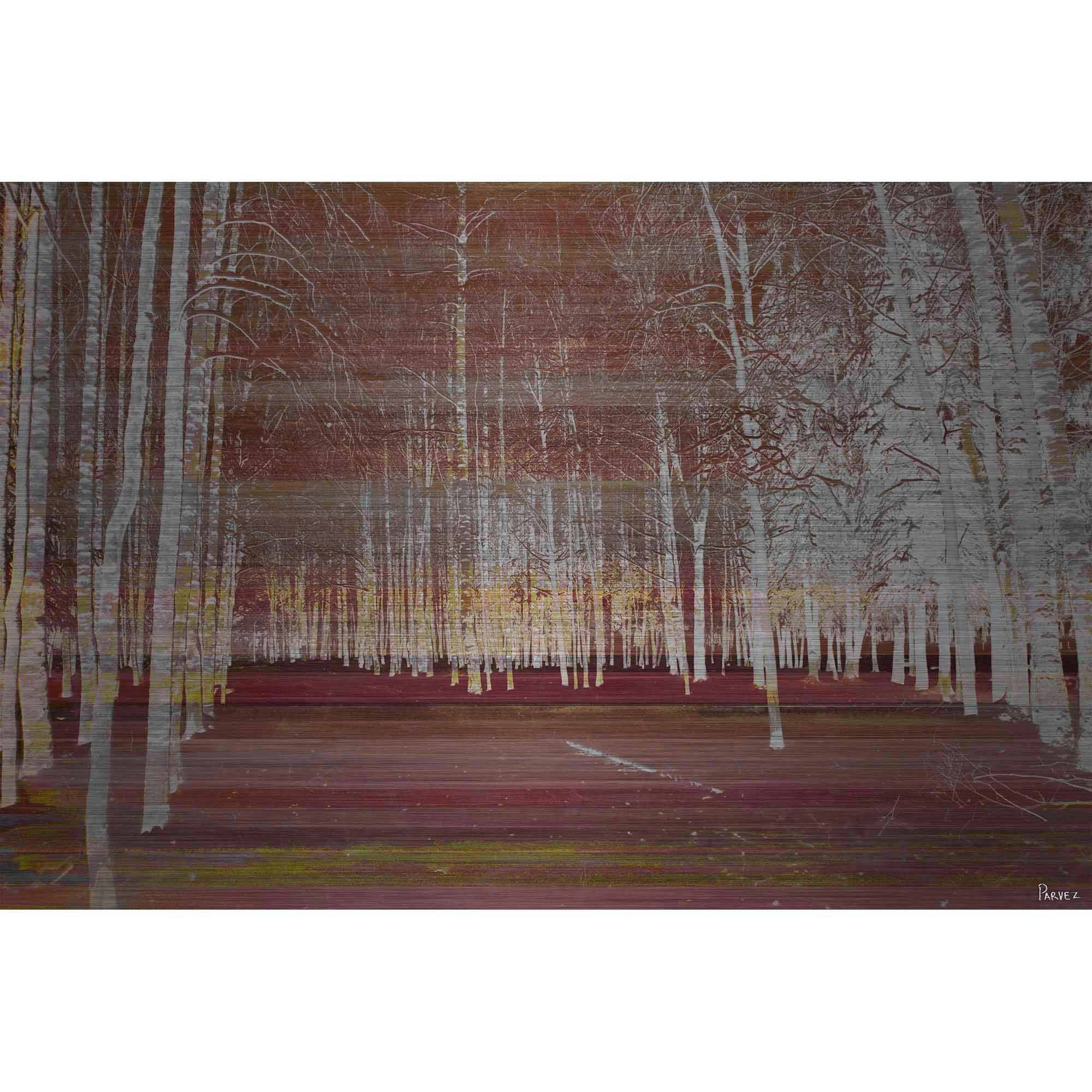 Parvez Taj  'Night Birch' Painting Print on Brushed Aluminum 18 x 12