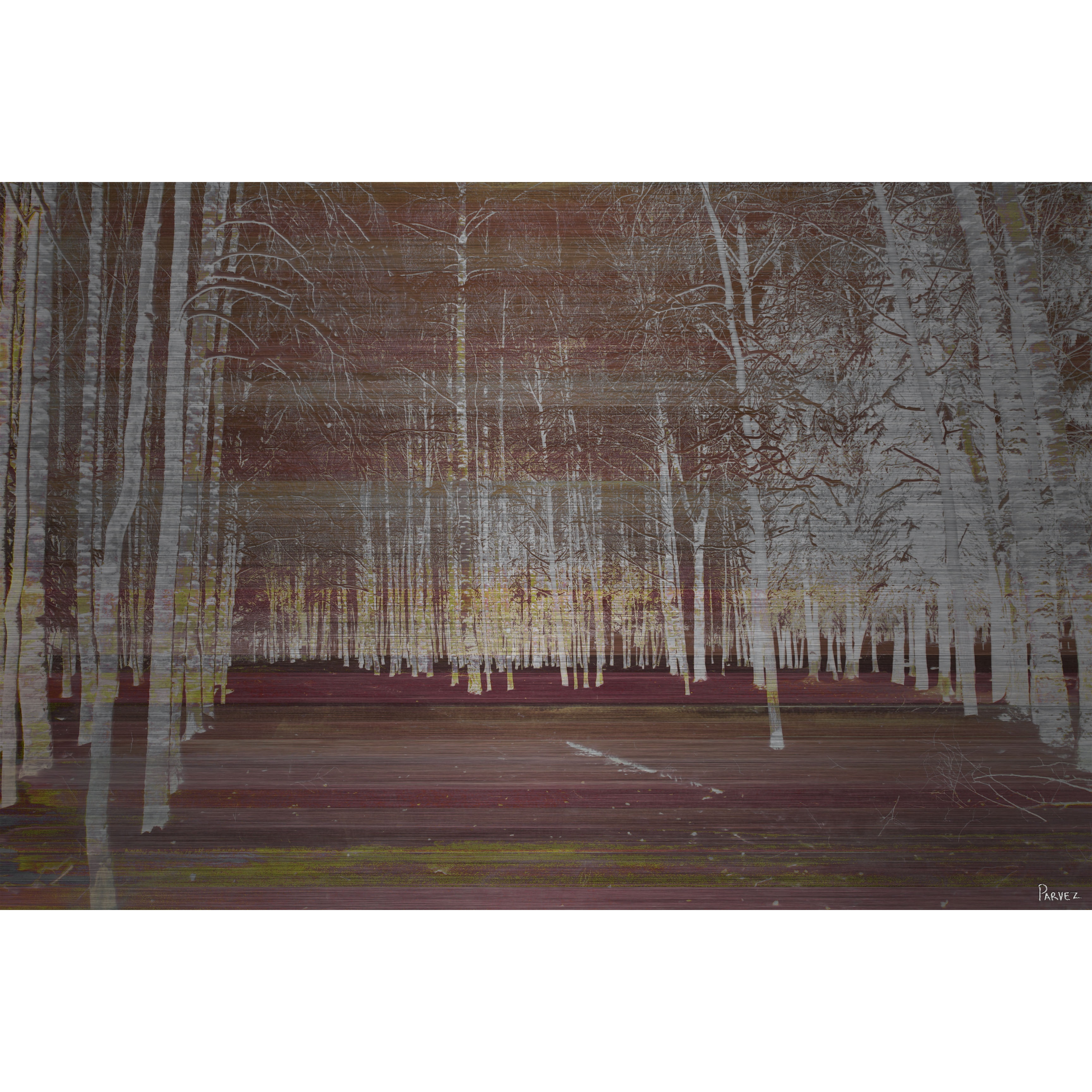 Parvez Taj  'Night Birch' Painting Print on Brushed Aluminum 36 x 24