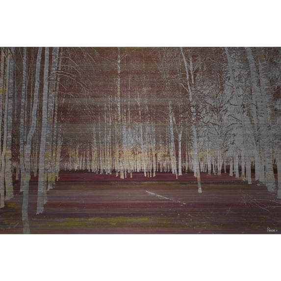 Parvez Taj 'Night Birch' Painting Print on Brushed Aluminum 60 x 40
