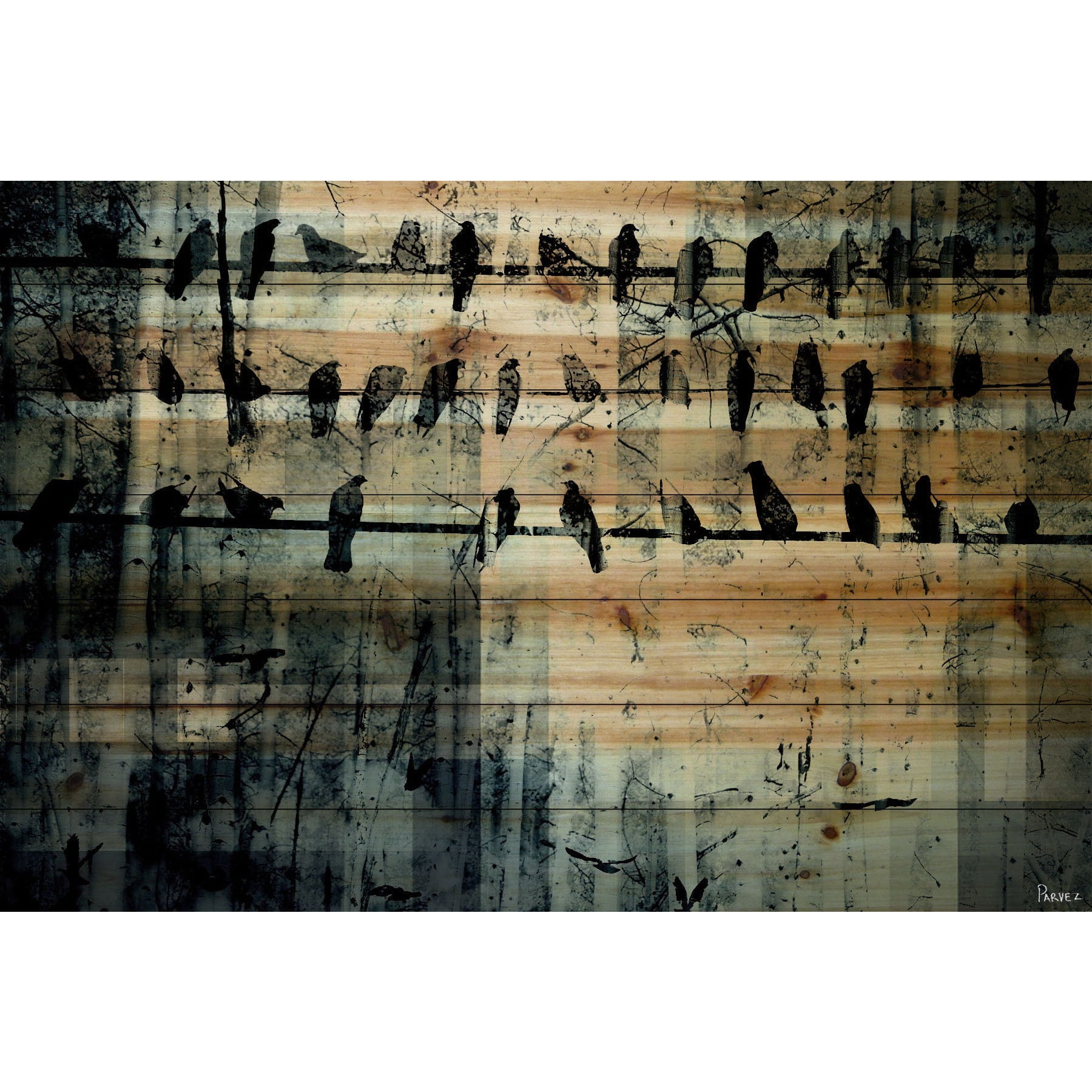 Urban Style Abstract Birds on Wire Mixed Media Canvas Art