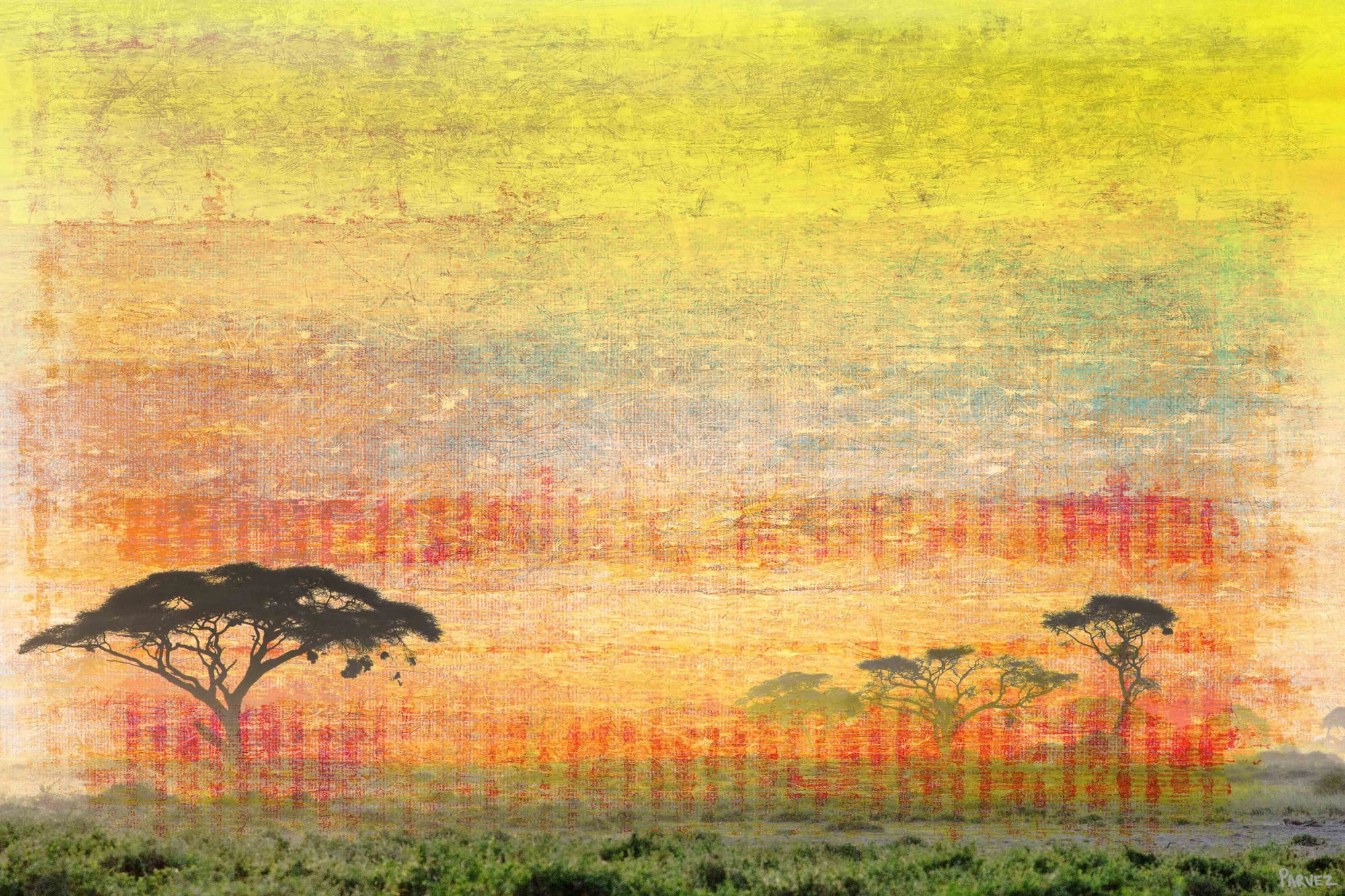 Parvez Taj "Orange Plains" Print on Canvas