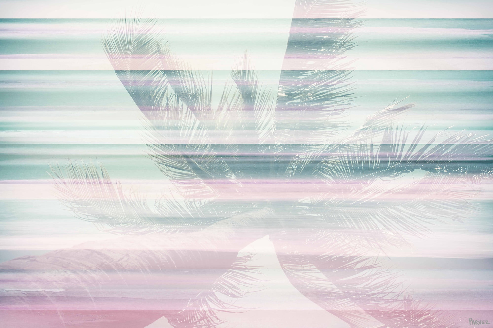 Parvez Taj "Palm Leaves" Print on Canvas