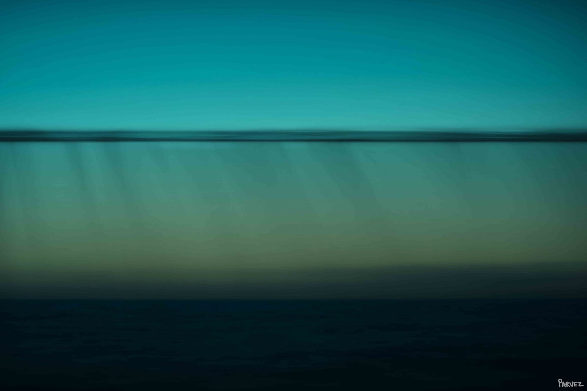 Parvez Taj "Peaceful Shadows" Print on Canvas