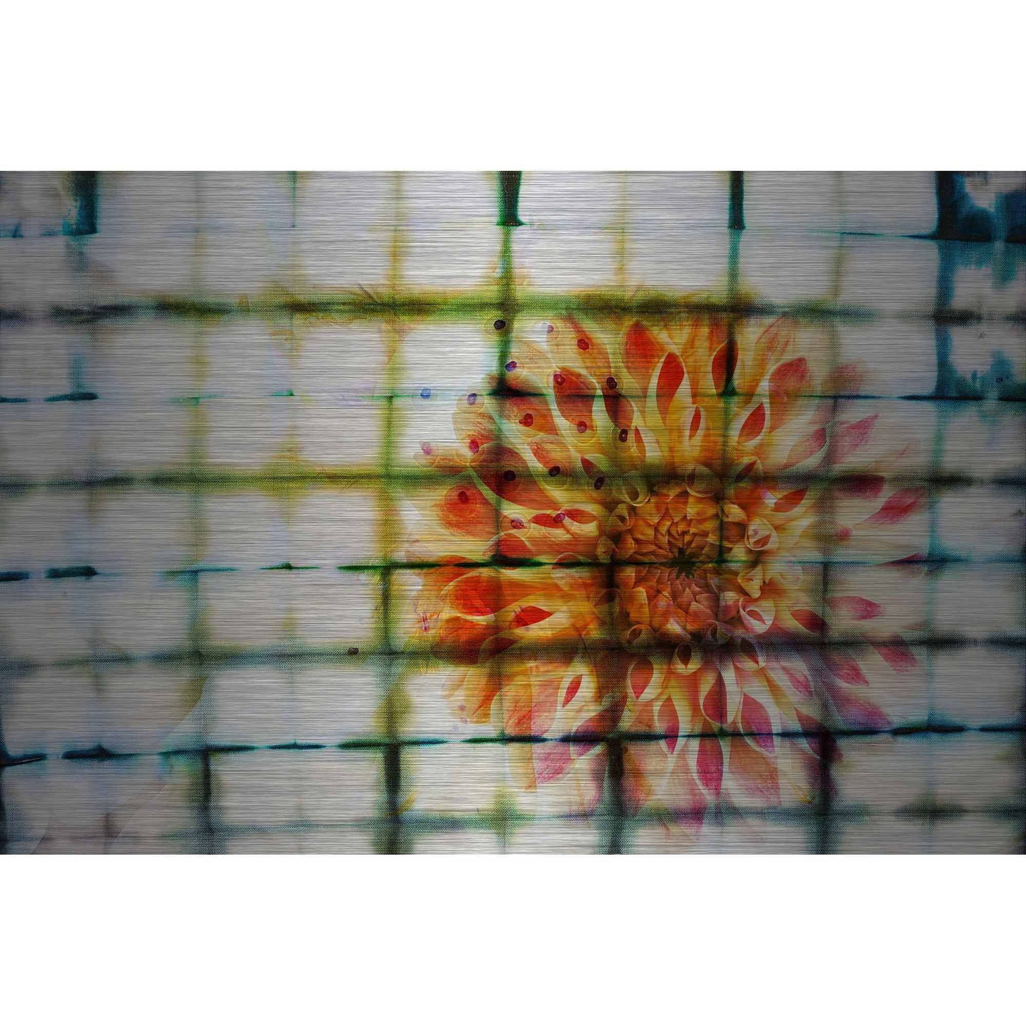 Parvez Taj Peacock Art Print on Brushed Aluminum