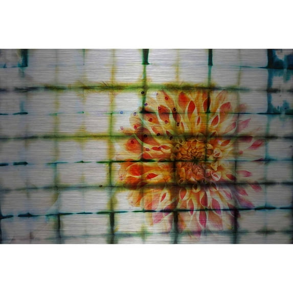Parvez Taj Peacock Art Print on Brushed Aluminum