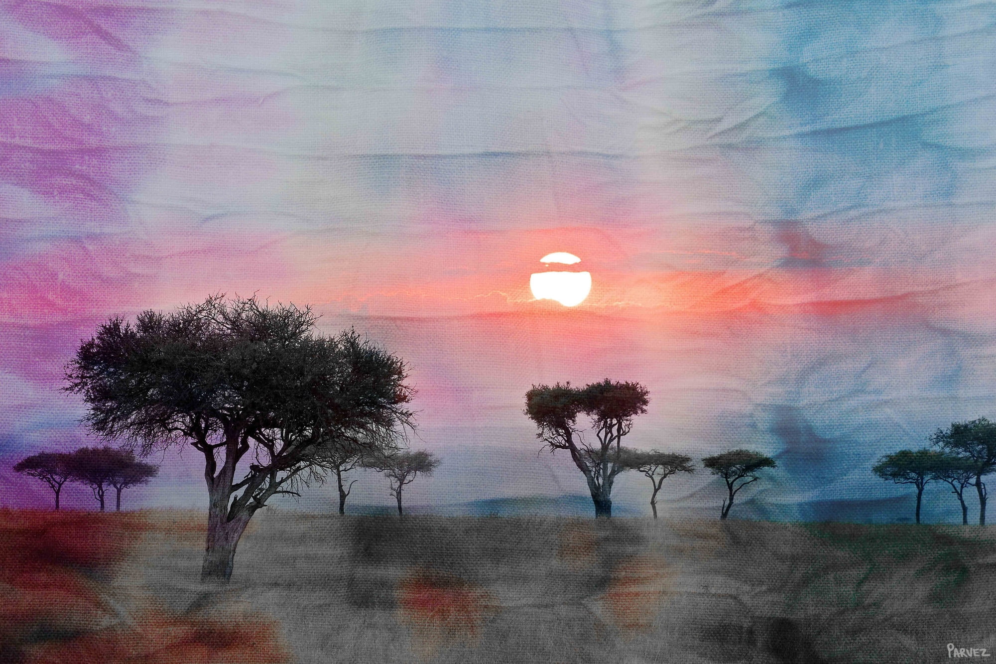 Parvez Taj "Plains Sunset" Print on Canvas