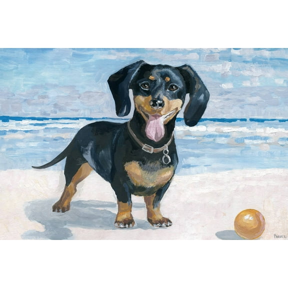Parvez Taj Playful Dachshund Canvas Wall Art