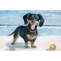 Parvez Taj Playful Dachshund Canvas Wall Art