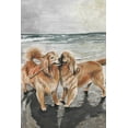 thumbnail image 1 of Parvez Taj Playful Retrievers Canvas Wall Art, 1 of 9