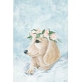 thumbnail image 1 of Parvez Taj Pretty Dog Canvas Wall Art, 1 of 9