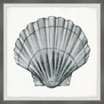 thumbnail image 1 of Parvez Taj Pretty Gray Shell Framed Wall Art, 1 of 6