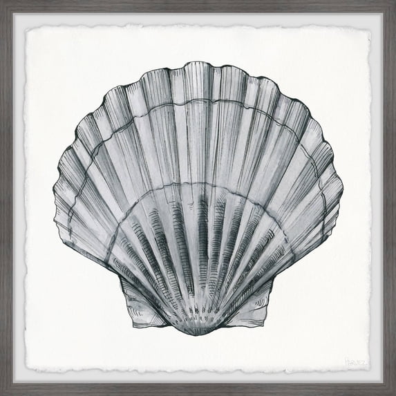 Parvez Taj Pretty Gray Shell Framed Wall Art