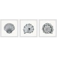 thumbnail image 1 of Parvez Taj Pretty Shells Triptych, 1 of 6