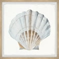 thumbnail image 1 of Parvez Taj Pretty White Shell Framed Wall Art, 1 of 6
