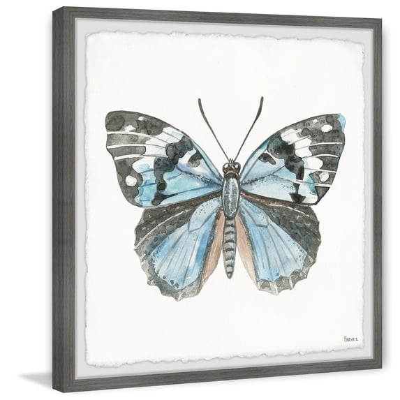 Parvez Taj Print Nature Framed Art Prints