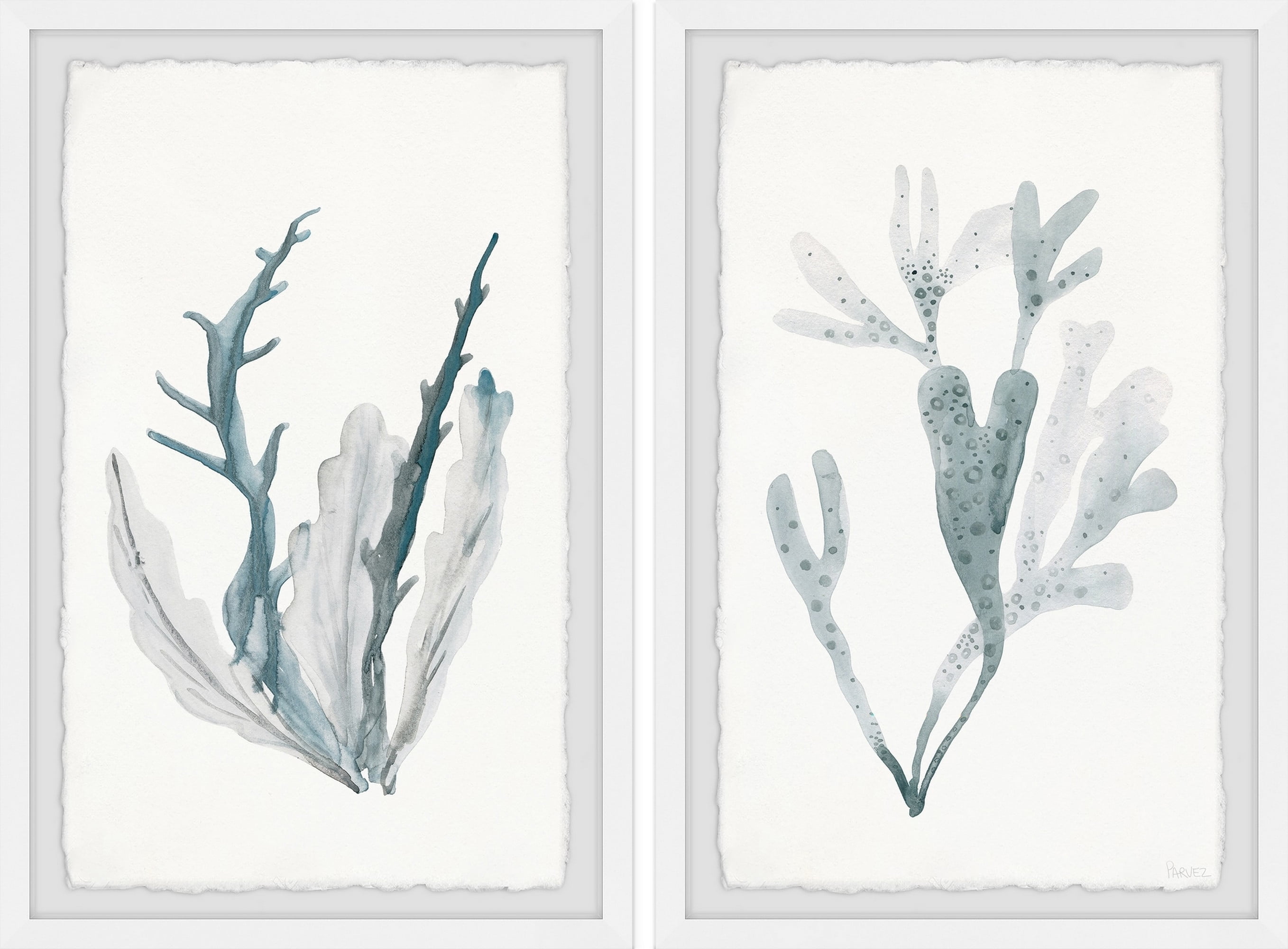 Parvez Taj Printed Animals & Insects Framed Art Prints, Set of 2